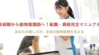 【初心者向け】動物看護師への転職ガイド｜仕事内容・資格・向いている人・将来性を解説
