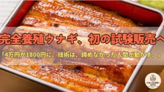 完全養殖ウナギ、世界初の試験販売へ——稚魚コスト4万円→1800円の技術革新と、食の未来とお金の話